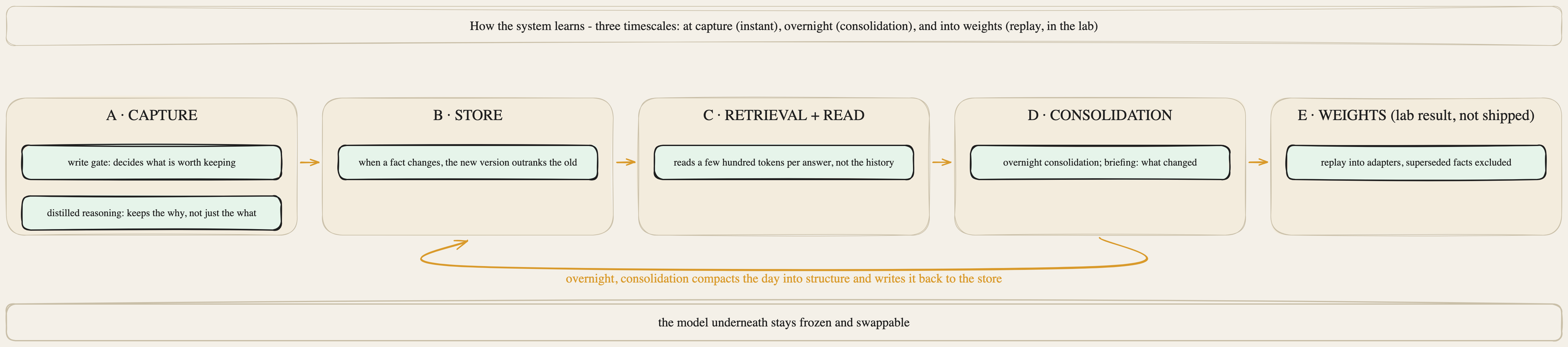How the system learns: at capture, overnight, and into the weights in the lab; the model underneath stays frozen and swappable